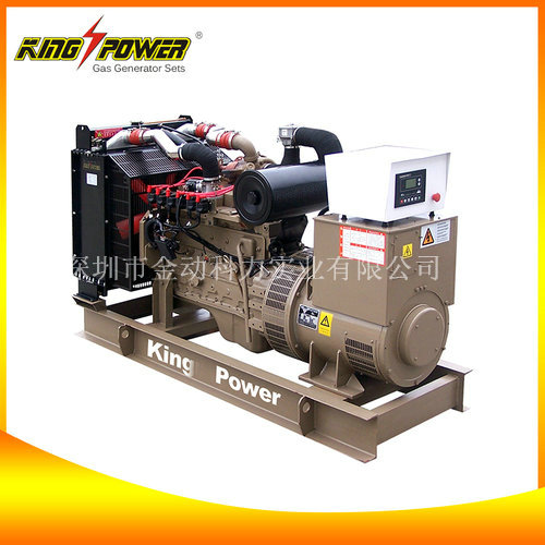 【廣東天燃氣發(fā)電機】為您提供動力！