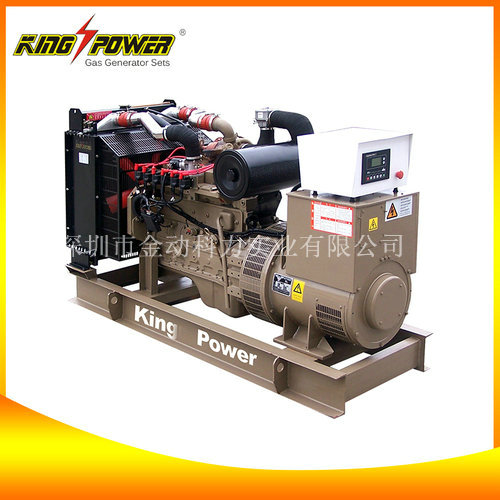 【頁巖氣發電機廠家】為我國增加新資源！