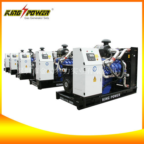 沼氣發電機組/沼氣發電機組生產商